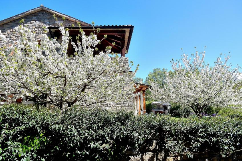 mit privatem Pool - foto 46