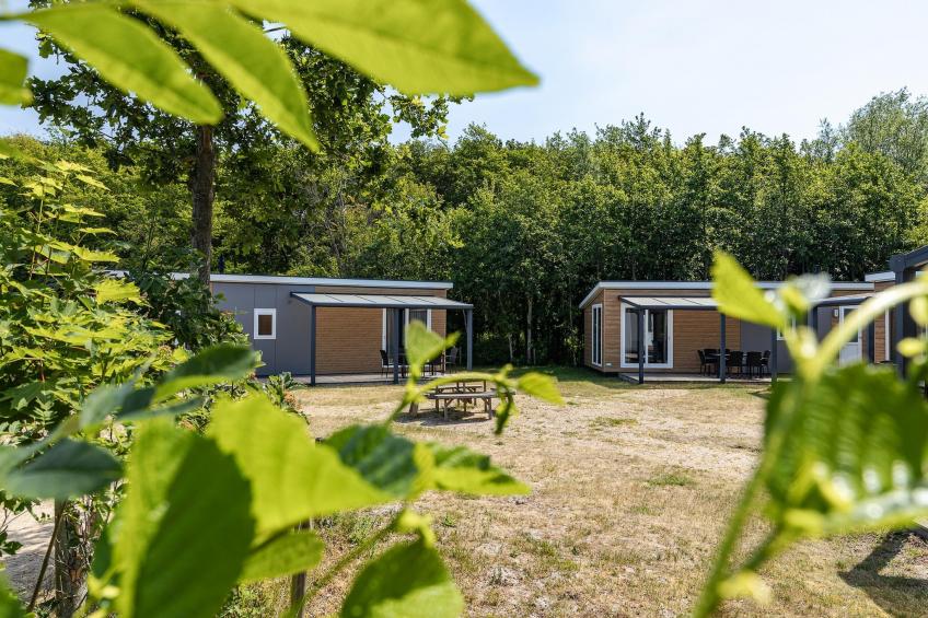 Duinhoeve Chalet Zeeland (huisdier toegestaan) - foto 36