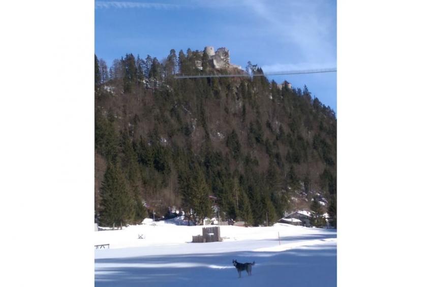 206215 - foto 17