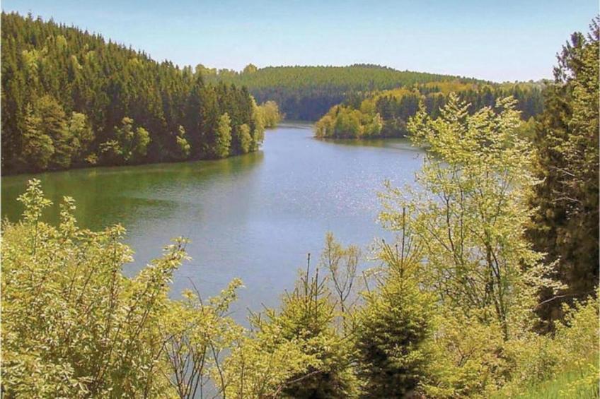 Le Chalet Chaleureux B - foto 30