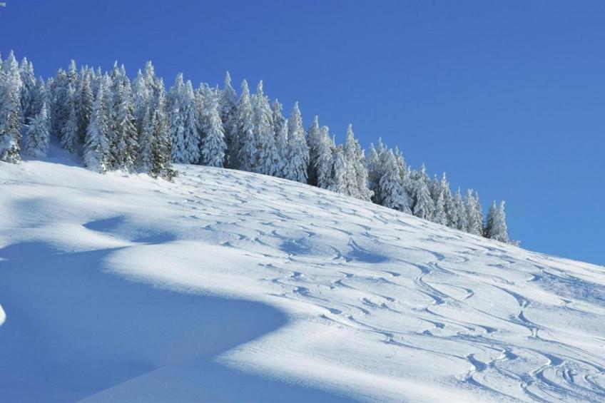 Mary Studio's Saalbach - foto 35
