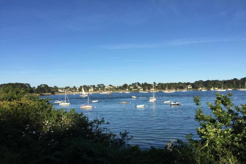Les Iles du Morbihan - foto 33