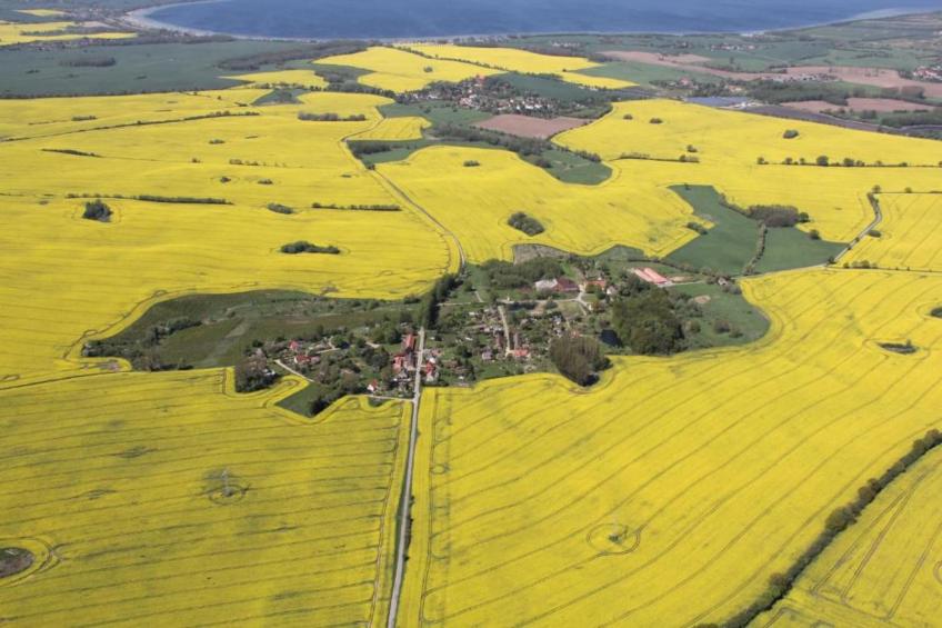 Ferienhaus Hohenkirchen - foto 37