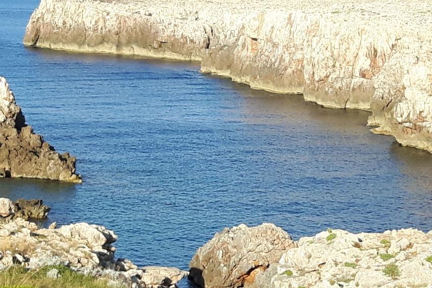 Ficula Vell Villa am Meer mit privatem Pool - foto 31