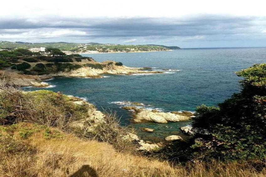 Cipresos 10pax - foto 30