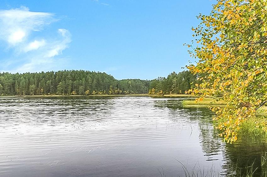 Välikosken puolukka - foto 6