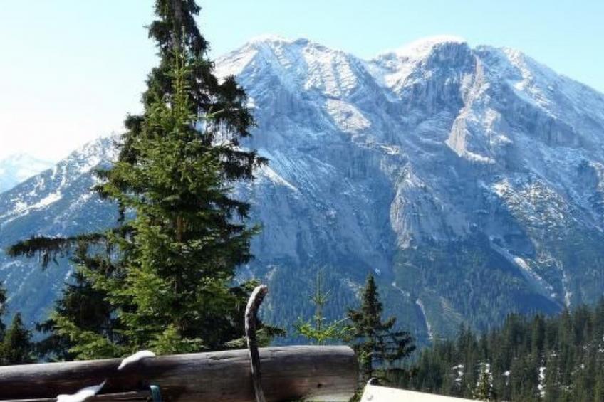 Haus Schönberg - foto 22