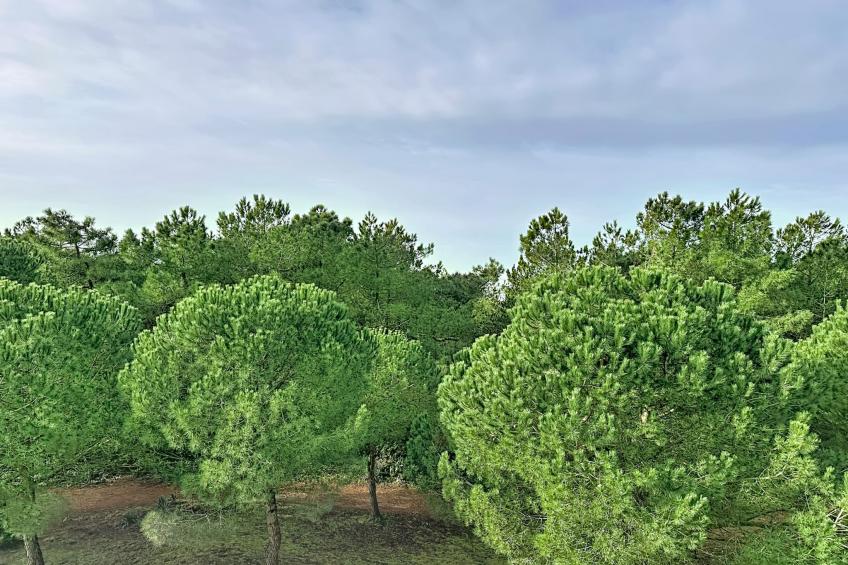 L'Ermitage - foto 19