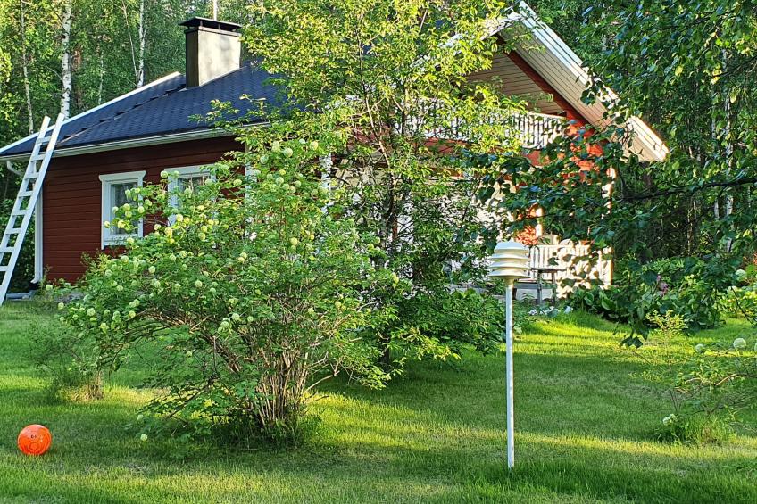 Koivulahden reinola - foto 7