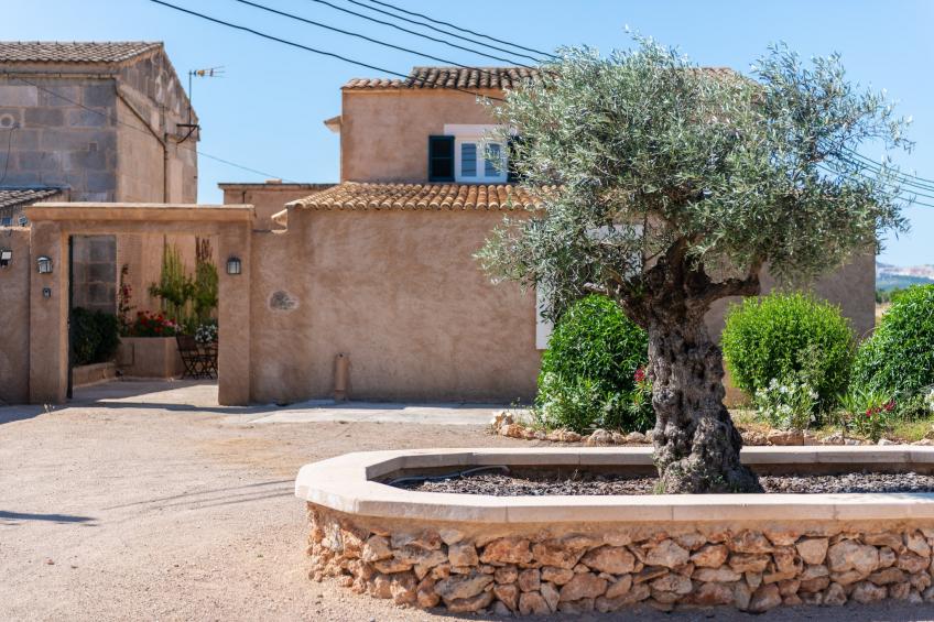 Ses Barreres - foto 13
