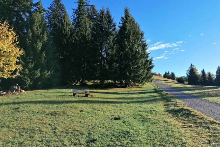 Region Tegernsee - foto 13