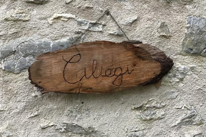 Kirschbäume, eine Oase im Wald zwischen Meer und Natur - foto 25