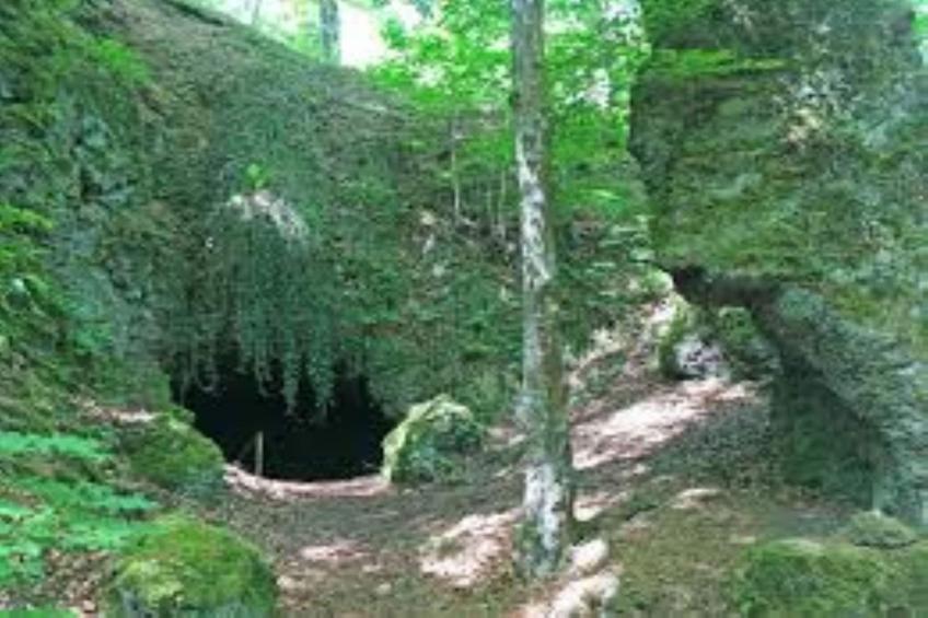 Ferienwohnung Winkel in der Vulkaneifel - foto 24