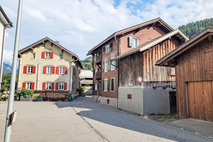 Glanzhirsch Küblis – nahe Klosters/Davos - foto 18