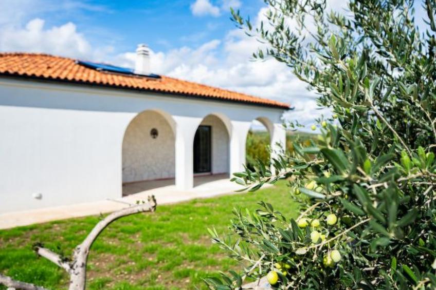 Holiday Home Olivarum with pool - foto 4