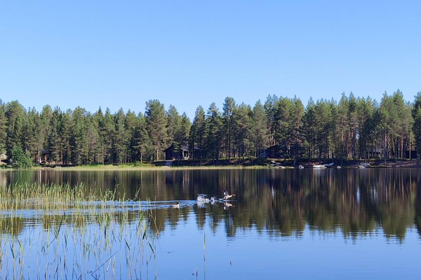Syväniemi - foto 8