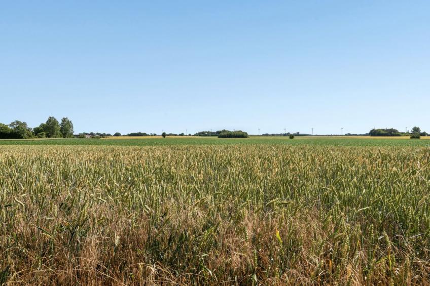 "Redlef" in Lolland, Falster and Mon - foto 9