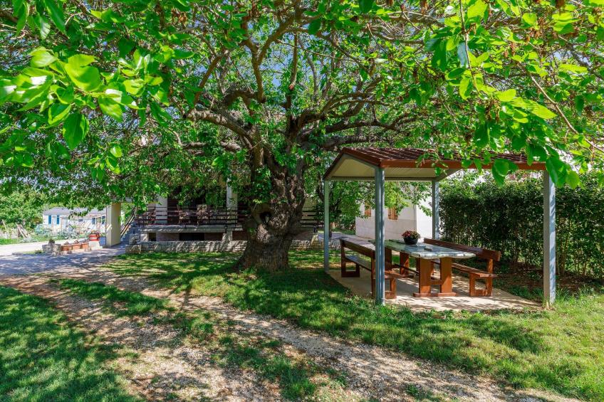 Vakantiewoning - VW-2DK8 - foto 21