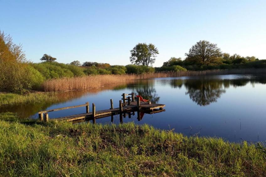 Im Grünen 1 - foto 24