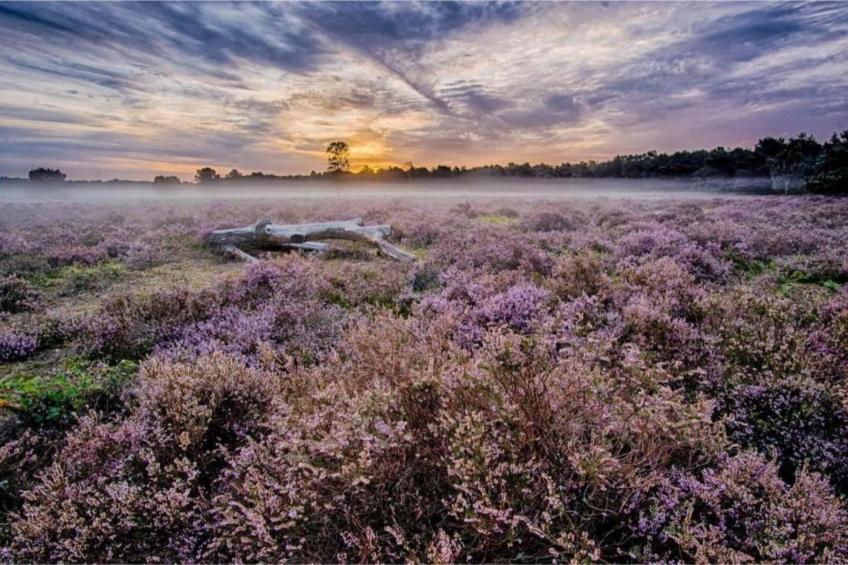 Buitenplaats Holten 8 - foto 36