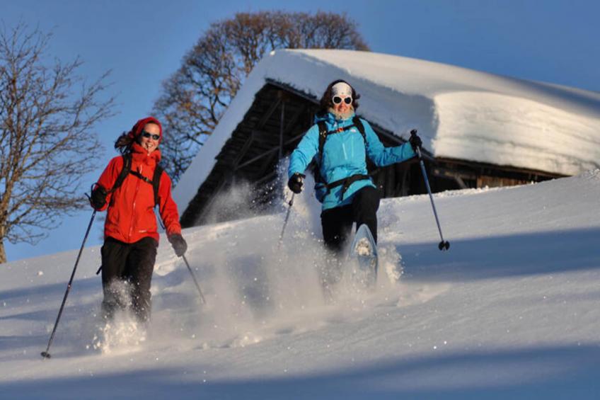 Chalet Le Buset - foto 6