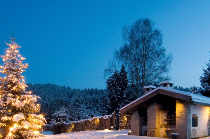 FORSTGUT - Raum für wertvolle Zeit - foto 11