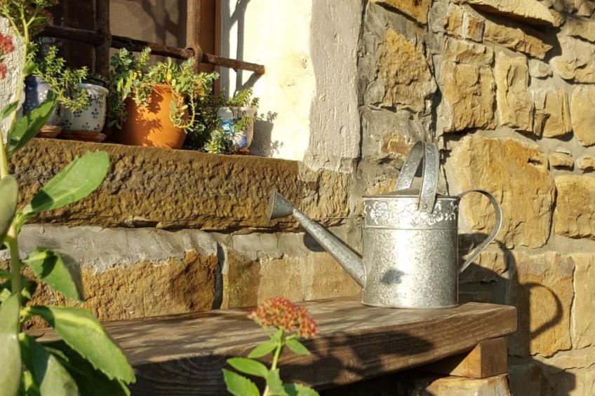 Istrisches Steinhaus - foto 40