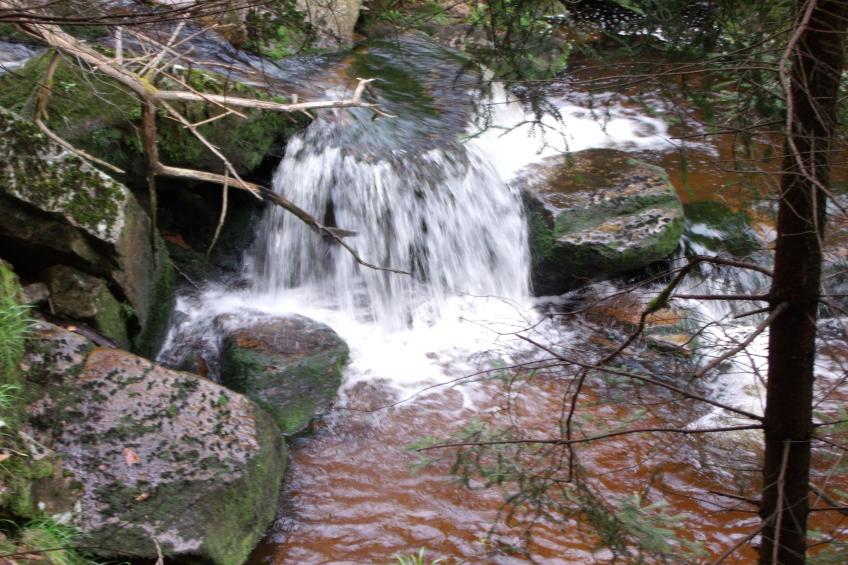 Ferienhaus Rosi - foto 28