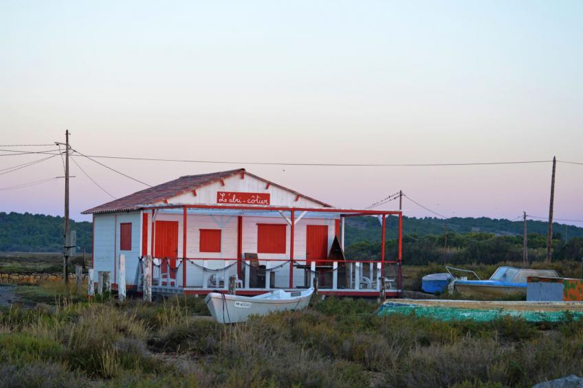 Les Amandines - foto 31