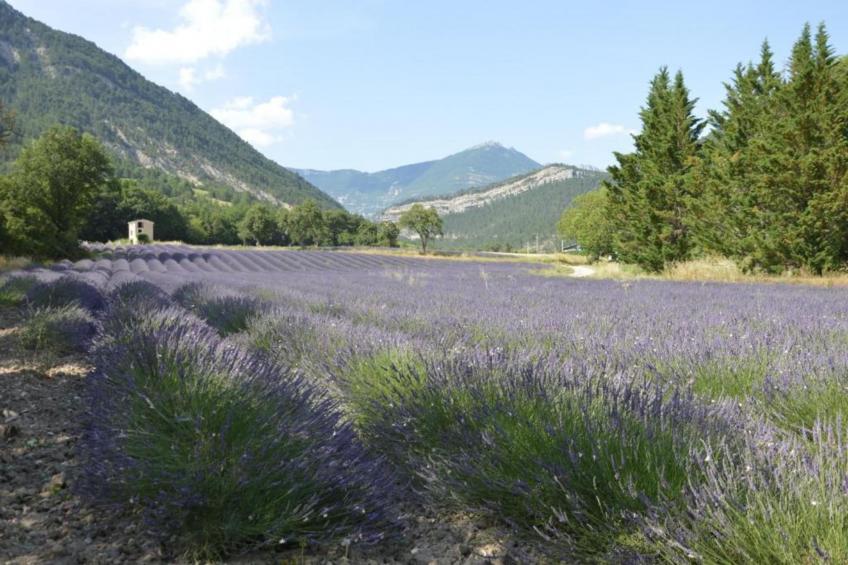 Maison de vacances - MARIGNAC-EN-DIOIS - foto 28