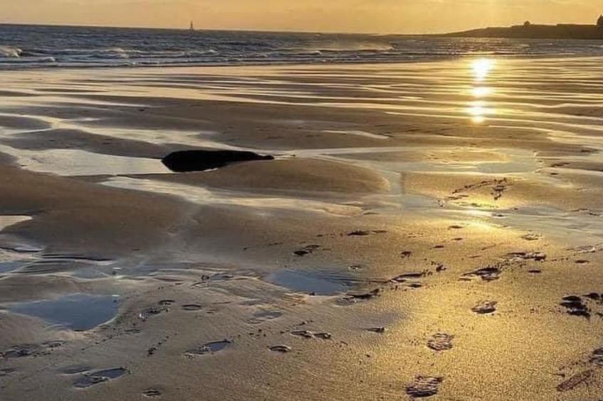 Hütte Helena - foto 15