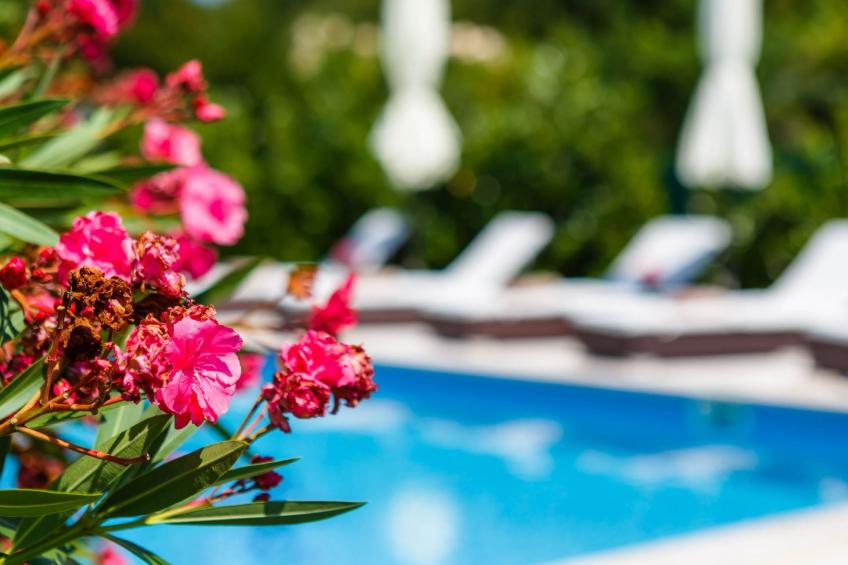 Villa Kamenica  im mediterranen Stil mit Innen- und Außenpool - foto 36