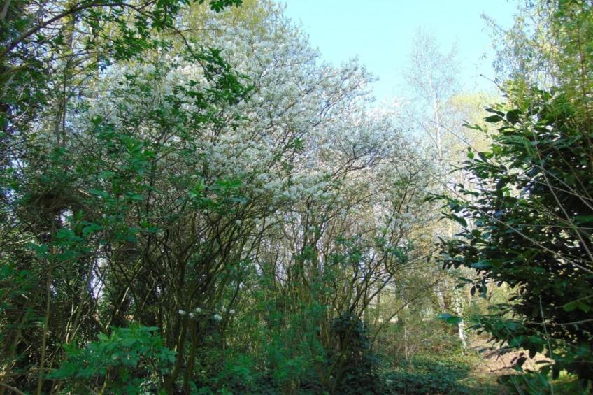 Verblijfpark Breebos 3 - foto 38