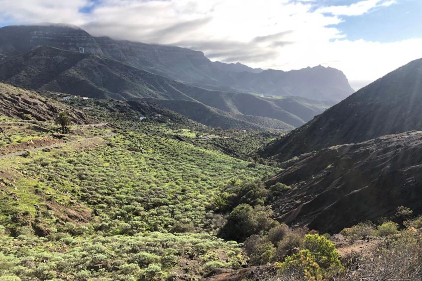 Finca mit Wasserblick - foto 30