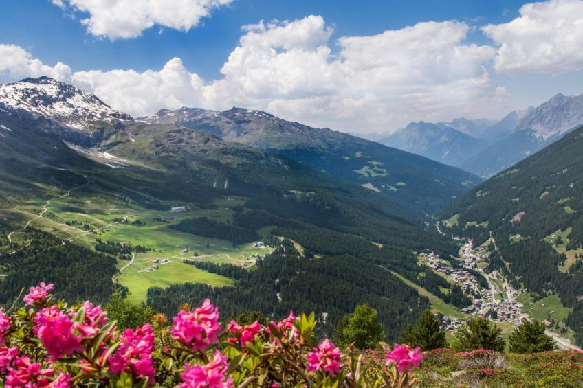 QC House- Chalet tra le alpi - foto 17