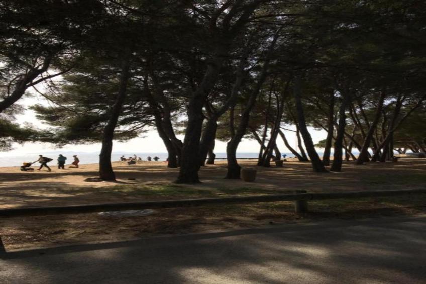 Les Canissons - foto 29