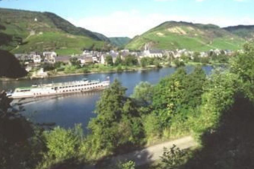 Gesamte Wohnung in Pommern - foto 14