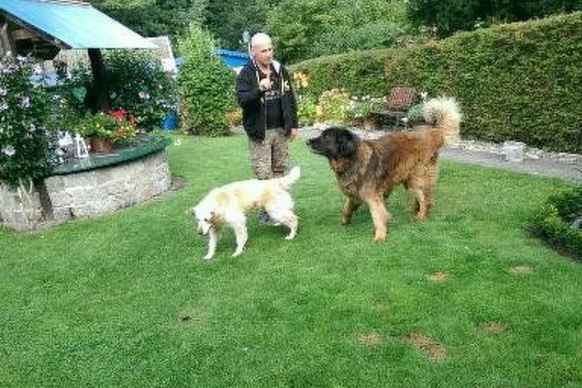 Ferienbungalow auf Gartengrundstück - foto 10