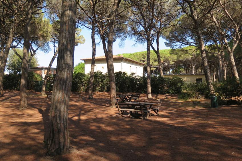 Residence Palazzeta (VAD120) - foto 28