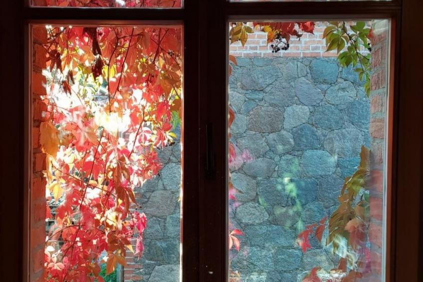 Wohnung in Haselberg mit Großem Garten - foto 10