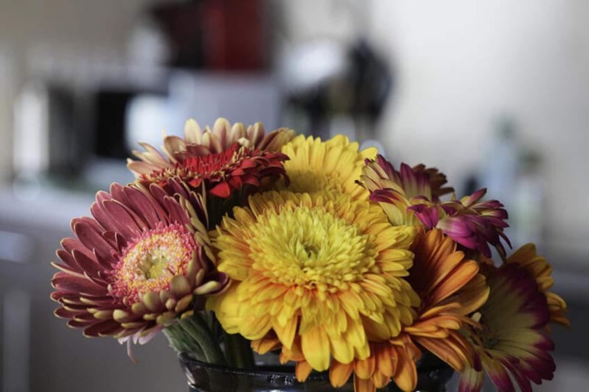 Appartements à La Rochelle - foto 22