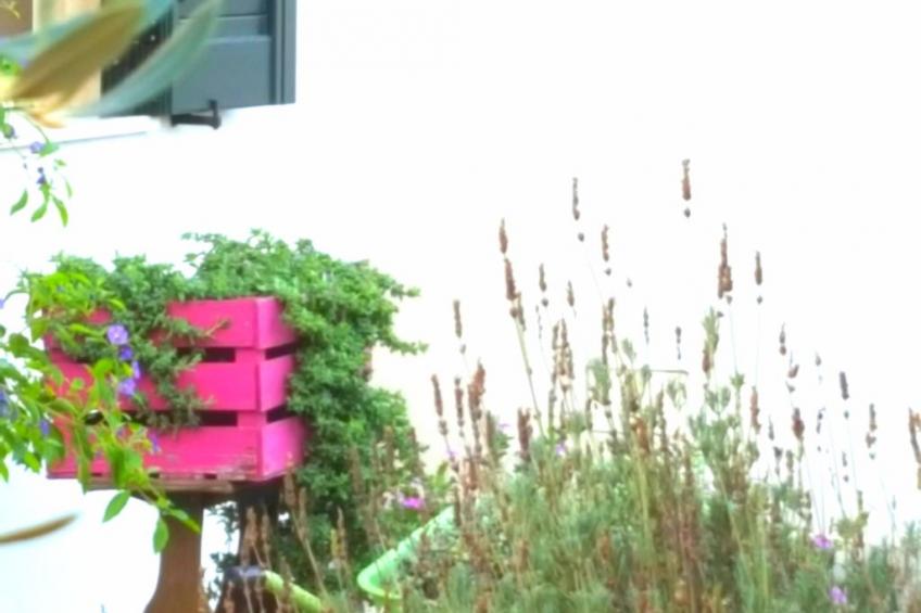 Villa dei Noci - foto 6