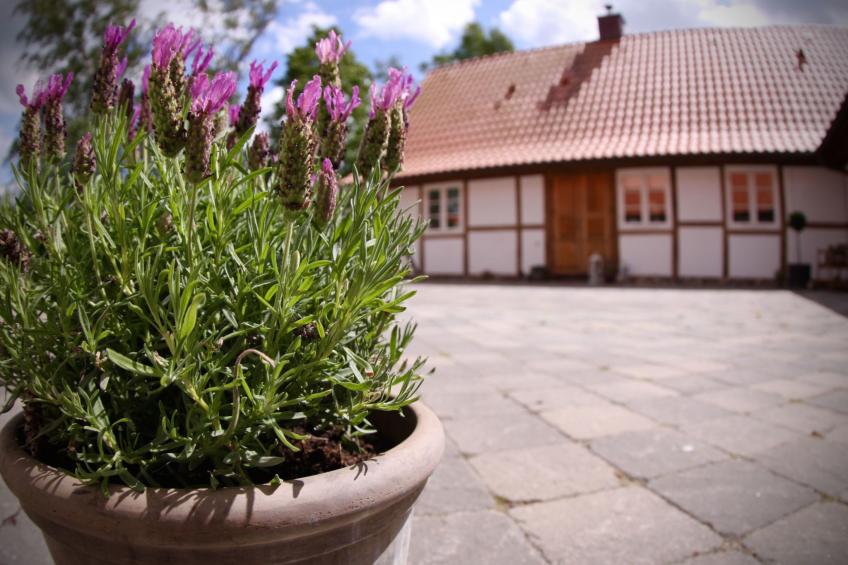 Studio Eagle - foto 18