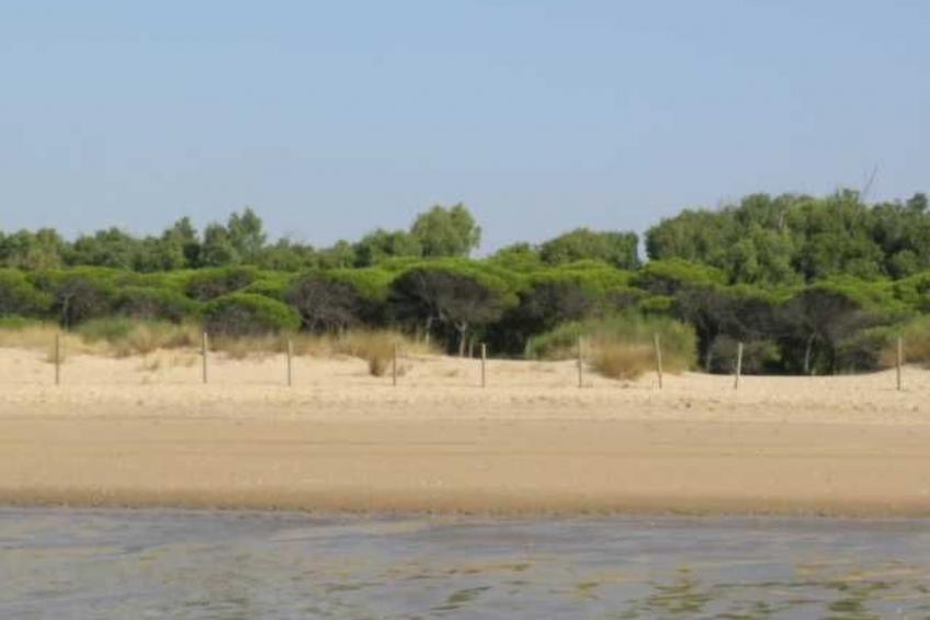 Villa "Los Arcos" mit privatem Garten und Terrasse - foto 52