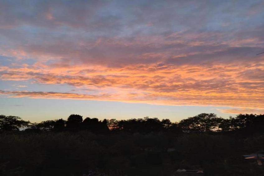 Castagneto1 - foto 37