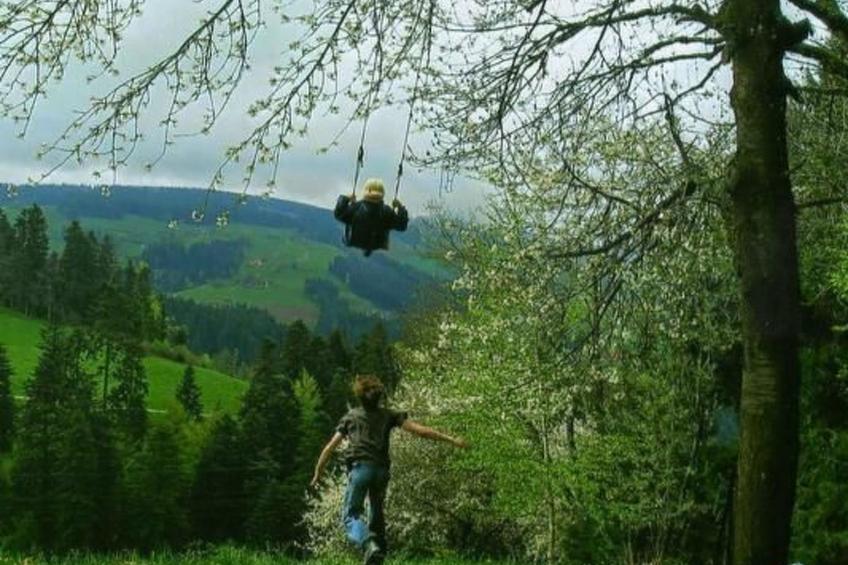 Bauernhof Gerber - foto 30