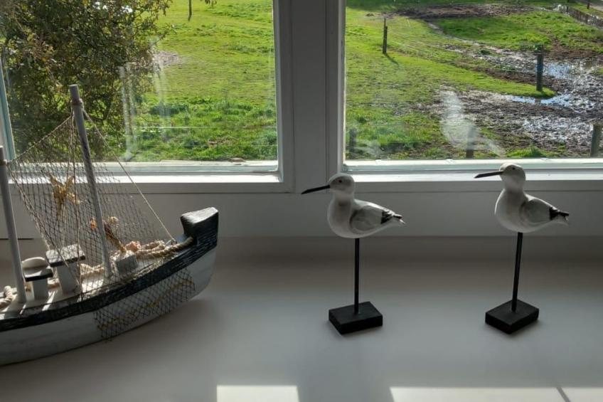 "Mooij Plaats" - foto 12