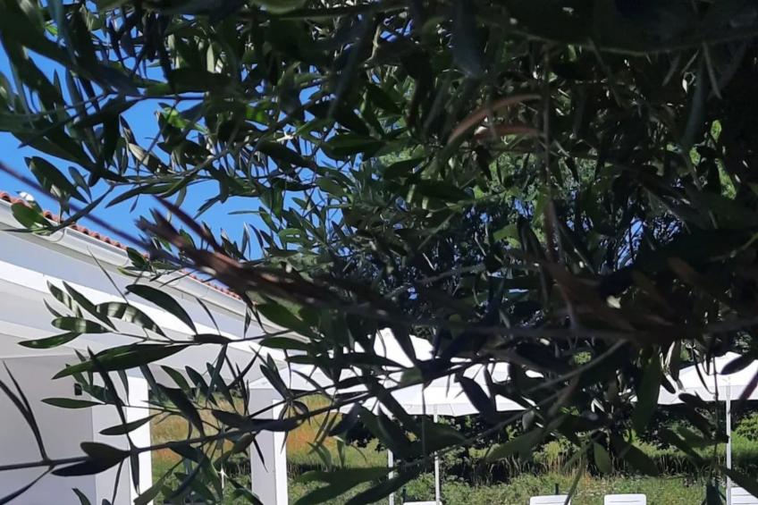 Villa Destiny - foto 11