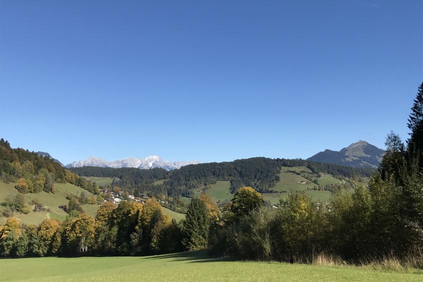 Aparthotel Iris - foto 24