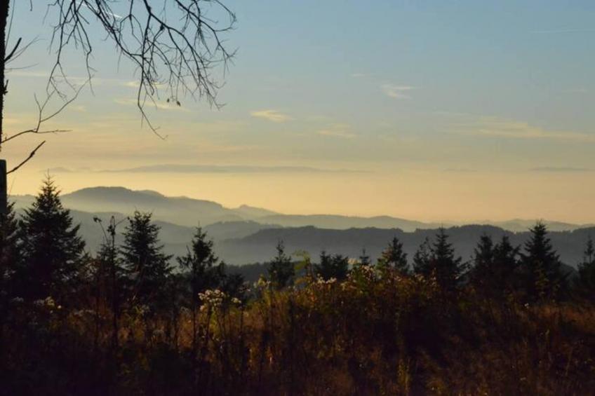 Panoramablick - foto 38